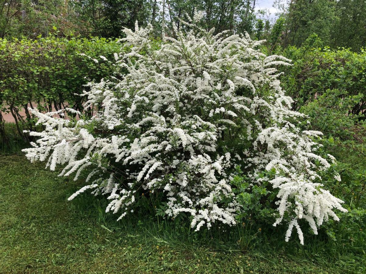 Pyhtaeae Garden Villa Pyhtaa Eksteriør bilde
